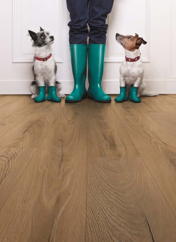 EUROSTYLE Atlantic 12 German Laminate